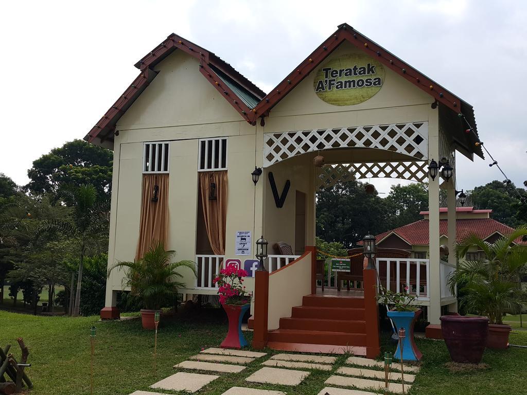 D Savoy Famosa *