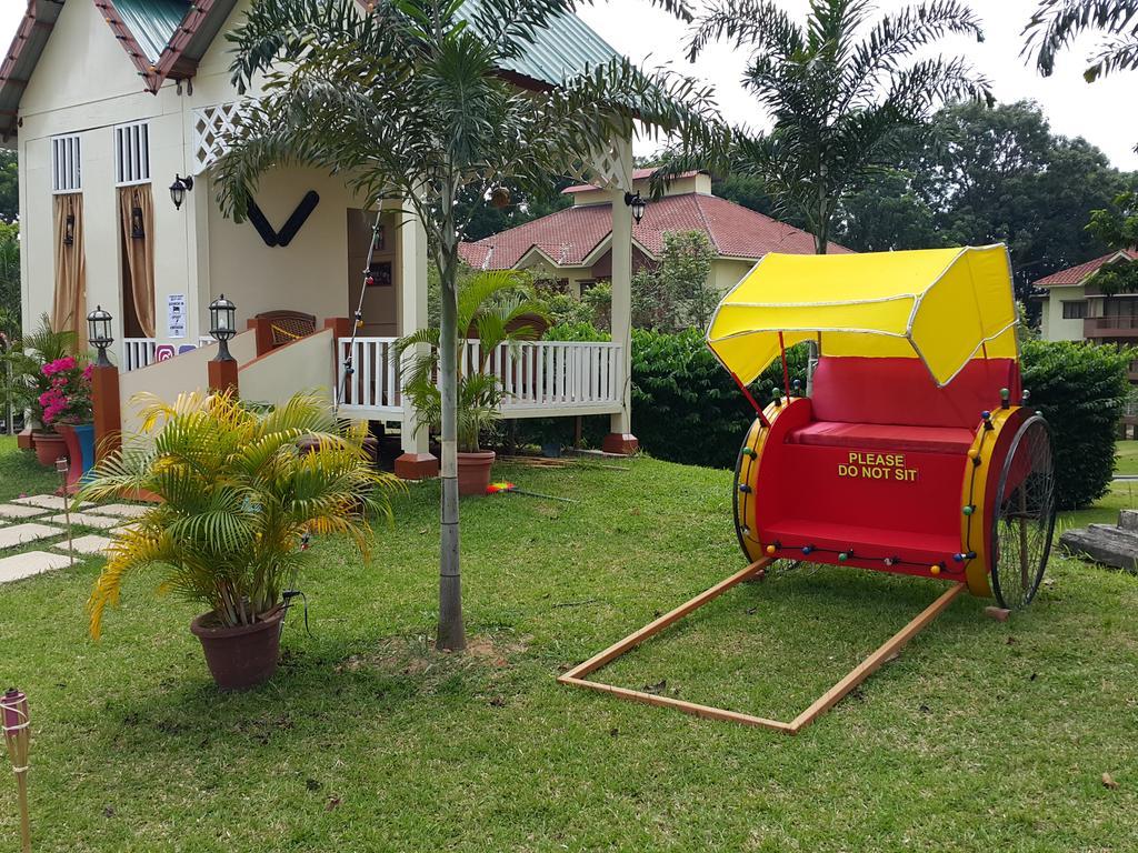 D Savoy Famosa